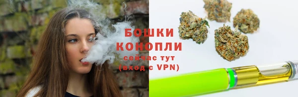 трава Арсеньев