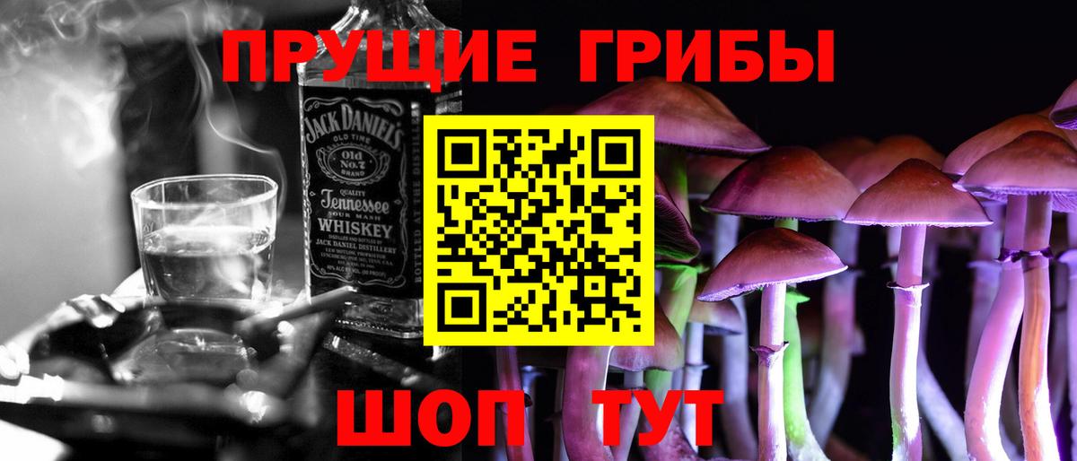 Галлюциногенные грибы Psilocybine cubensis Дзержинский