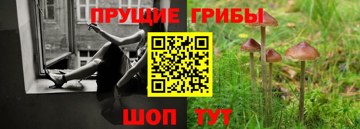 Псилоцибиновые грибы мухоморы  Вход с VPN  Дзержинский  купить закладку  Псилоцибиновые грибы Magic Shrooms 